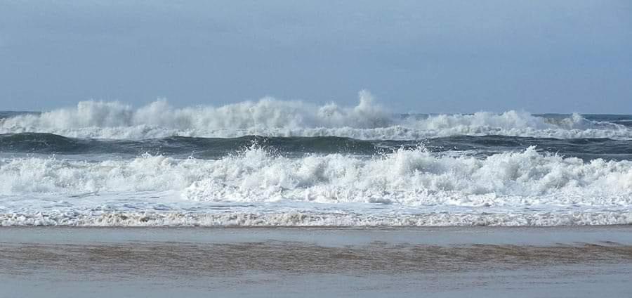Le Pouget , Studio, Rez De Chaussee, Front De Mer Wifi Le Touquet Eksteriør billede