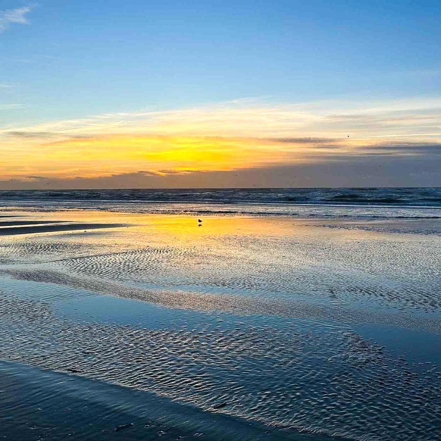 Le Pouget , Studio, Rez De Chaussee, Front De Mer Wifi Le Touquet Eksteriør billede